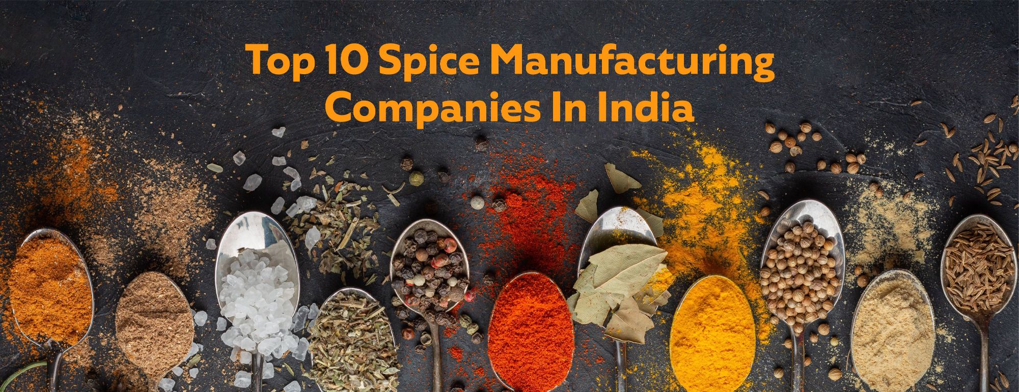 Top 10 Spice Manufacturing Companies in India